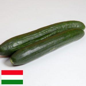 Zöldség házhozszállítás, zöldség rendelés